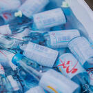 夏に食べたくなる、飲みたくなるもの。